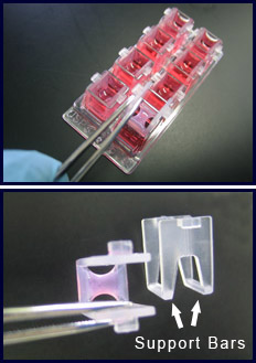 3D Cell Culture Inserts